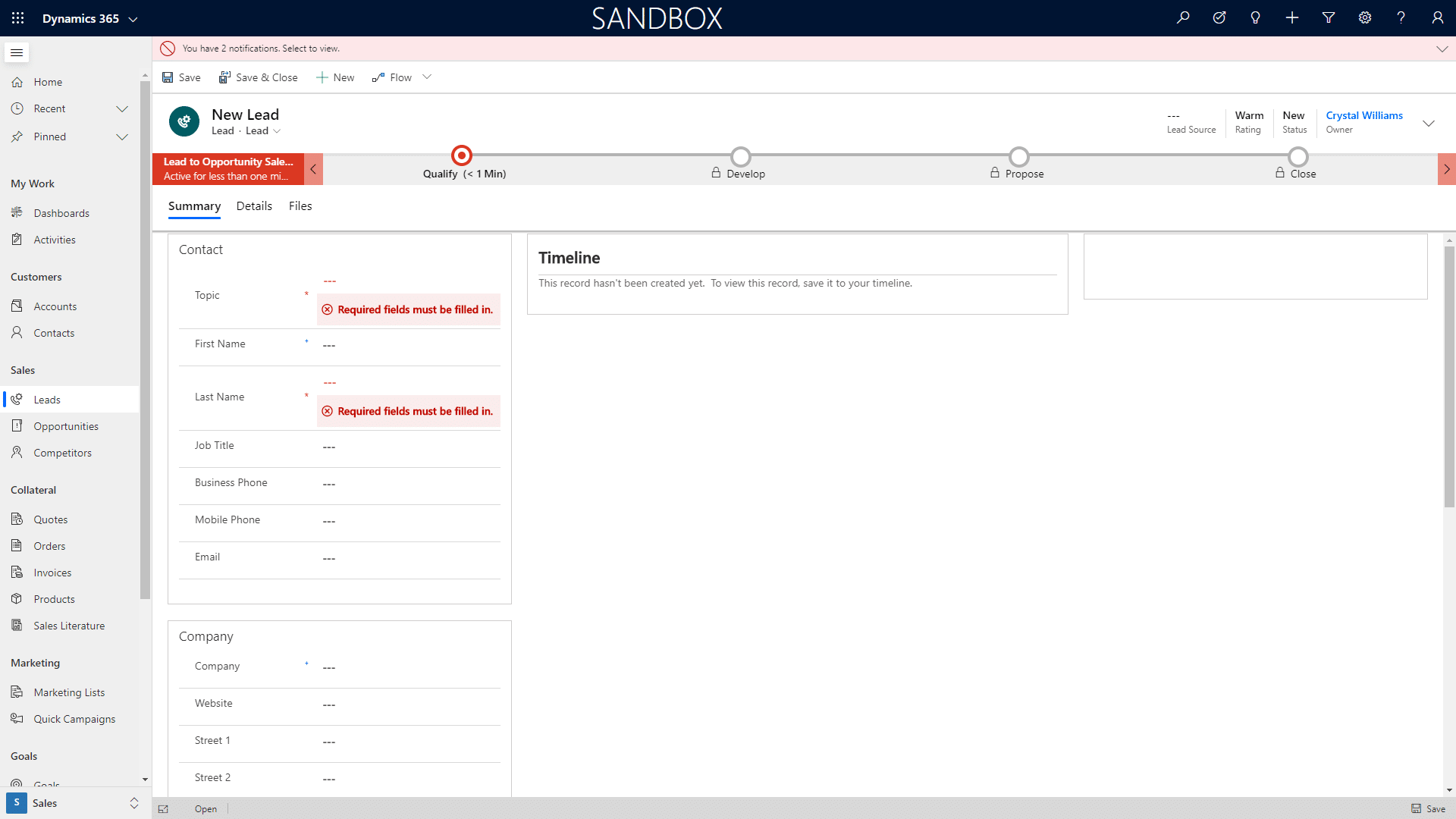 Lead details entry screen in Dynamics 365 for Sales