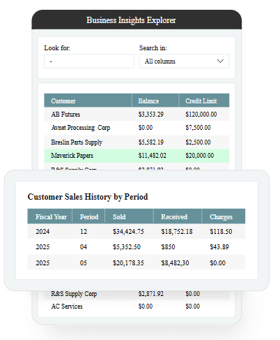 Sage 100 Business Insights Explorer